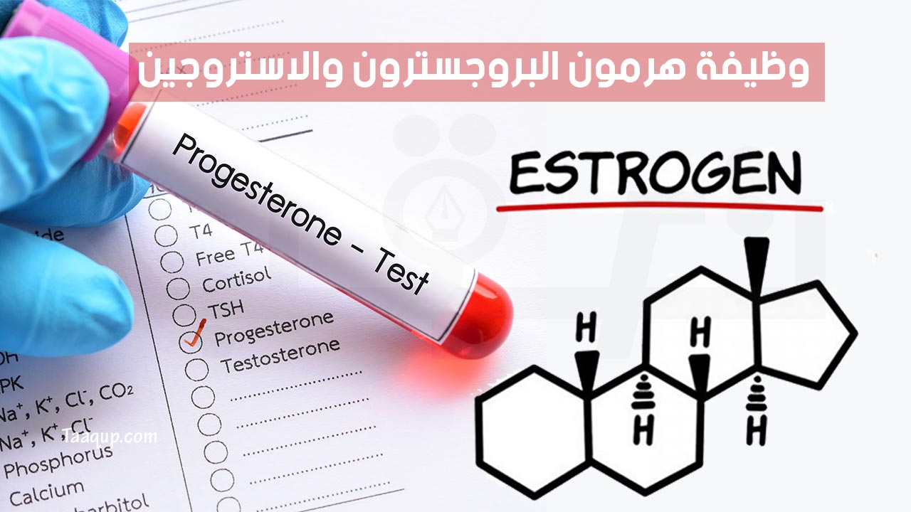 هرمون البروجسترون والاستروجين للنساء والرجال