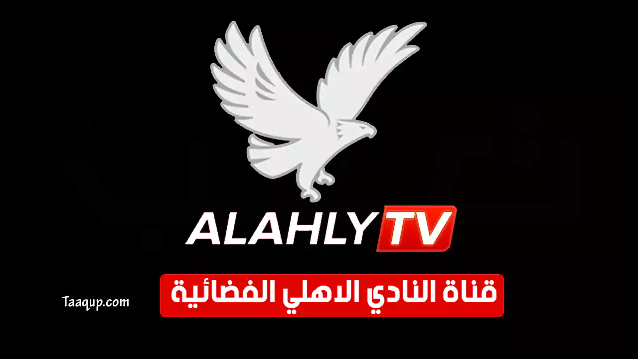 بيانَاتٌ.. تردد قناة الاهلي HD الجديد “2024” Frequency Al Ahly TV