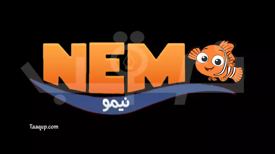 ثبت تردد قناة نيمو كيدز الجديد 2024 sd، ويتواجد تردد نيمو كيدز على نايل سات Frequency Nemo Kids TV للاطفال والبث المباشر للمشاهدة