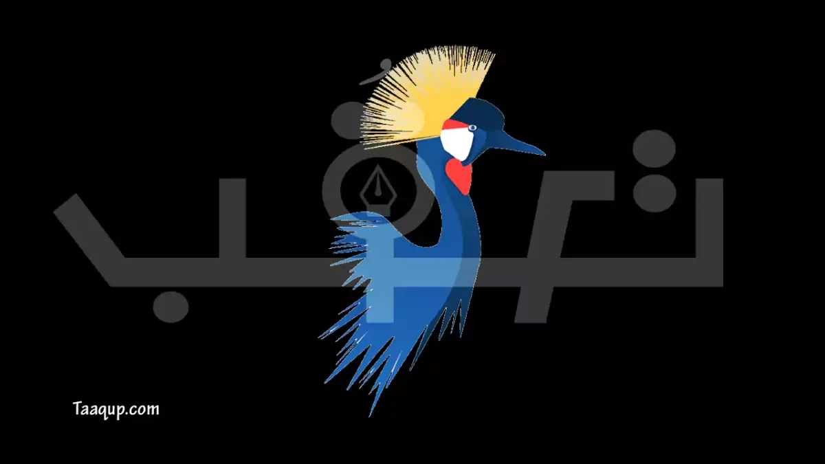 الصورة تحتوي على الشعار الخاص بالقناة الفضائية تيلي تشاد وتعرف على تردد قناة تيلي تشاد الجديد 2026 HD، ويتواجد تردد تيلي تشاد على نايل سات والبث المباشر للمشاهدة Frequency Tele Tchad TV Nilesat