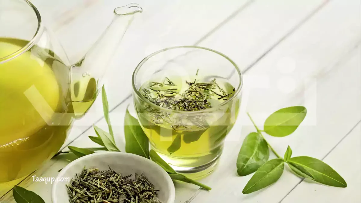كوب شاي أخضر ساخن على صحن صغير، مشروب طبيعي لحرق الدهون وزيادة النشاط.