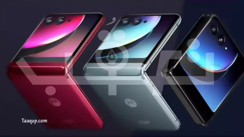 صورة توضح ألوان هاتف موتوريلا Motorola Razr 70 Ultra القابل للطي