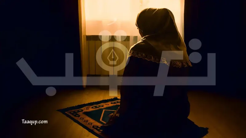 جدول سنن الصلاة المؤكدة وغير المؤكدة.. ابن باز وابن عثيمين وعند المالكية 1 الصورة تضم امرأة تقوم بأداء الصلاة للمسلمين وتعرف على جدول سنن الصلاة المؤكدة وغير المؤكدة عند الشيخ ابن باز و عند الشيخ ابن عثيمين عند المالكية وأهمية المحافظة على النوافل والرواتب
